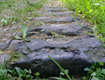D8 Kall Trail
