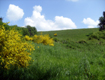 D9 Kall Trail